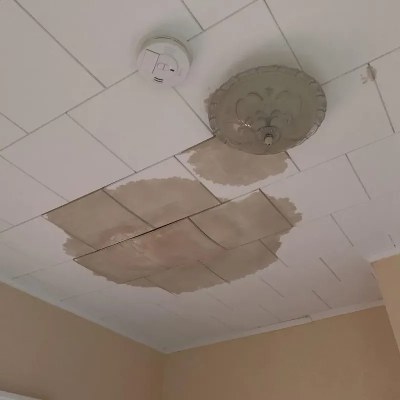 Ceiling Water Damage Repair in Sound Beach, NY
